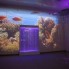 Проекционный дизайн "Виртуальная реальность" базовый комплект 500 анимаций - «globural.ru» - Жигулёвск