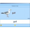 Английский язык. Освоение клавиатуры - «globural.ru» - Жигулёвск