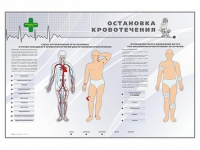 Электрифицированный стенд "Остановка кровотечения" - «globural.ru» - Жигулёвск