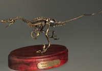 Модель скелета динозавра Velociraptor - «globural.ru» - Жигулёвск