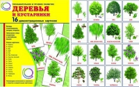 Демонстрационные карточки "Деревья и кустарники" - «globural.ru» - Жигулёвск