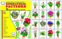 Демонстрационные карточки "Комнатные растения" - «globural.ru» - Жигулёвск