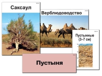 Модель-аппликация "Природные зоны России" - «globural.ru» - Жигулёвск