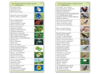 Комплект карточек (10) "Обучающий калейдоскоп. Природа" - «globural.ru» - Жигулёвск