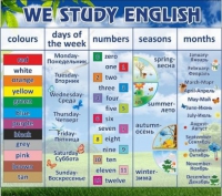 Стенд "We study english" - «globural.ru» - Жигулёвск