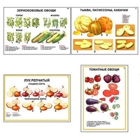 Плакаты ПРОФТЕХ "Ассортимент овощных культур" (12 пл, винил, 70х100) - «globural.ru» - Жигулёвск