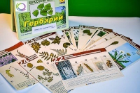Гербарий к курсу основ общей биологии - «globural.ru» - Жигулёвск