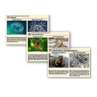 Комплект таблиц раздаточных "Ядовитые животные" - «globural.ru» - Жигулёвск