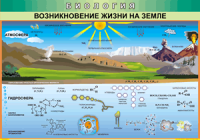 Таблица Возникновение жизни на Земле 1000*1400 винил - «globural.ru» - Жигулёвск