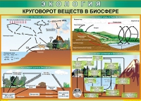Таблица Круговорот веществ в биосфере 1000*700 винил - «globural.ru» - Жигулёвск