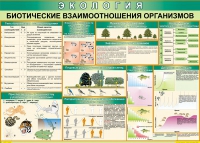 Таблица Биотические взаимоотношения организмов 1000*700 (винил) - «globural.ru» - Жигулёвск