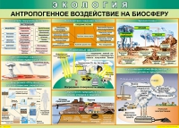 Таблица Антропогенное воздействие на биосферу 1000*700 винил - «globural.ru» - Жигулёвск