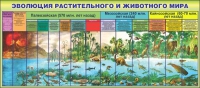 Стенд "Эволюция растительного и животного мира" - «globural.ru» - Жигулёвск