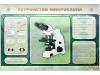 Электрифицированный стенд "Устройство микроскопа и правила работы c ним" - «globural.ru» - Жигулёвск