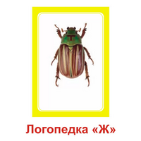 Логопедка "Ж" (логопедические карточки) - «globural.ru» - Жигулёвск