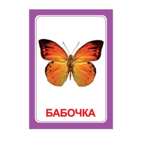 Логопедка "Ч" (логопедические карточки) - «globural.ru» - Жигулёвск
