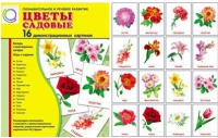 Демонстрационные карточки "Цветы садовые" - «globural.ru» - Жигулёвск