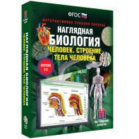 Наглядная биология. Человек. Строение тела человека - «globural.ru» - Жигулёвск