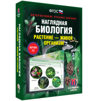 Наглядная биология. Растение - живой организм - «globural.ru» - Жигулёвск