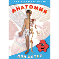 DVD  Анатомия для детей - «globural.ru» - Жигулёвск