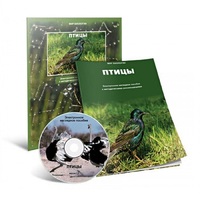 Электронное наглядное пособие «Птицы» - «globural.ru» - Жигулёвск