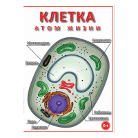 DVD Клетка - "атом жизни" - «globural.ru» - Жигулёвск