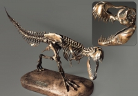 Модель скелета динозавра Tyrannosaurus - «globural.ru» - Жигулёвск
