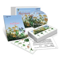 Комбинированное наглядное пособие «Растения» - «globural.ru» - Жигулёвск