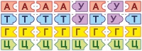 Модель-аппликация Удвоение ДНК и транскрипция РНК - «globural.ru» - Жигулёвск