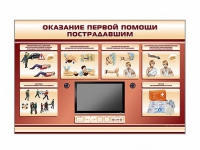 Многофункциональный интерактивный стенд-тренажер "Оказание первой помощи пострадавшим" для учащихся общеобразовательных учреждений - «globural.ru» - Жигулёвск