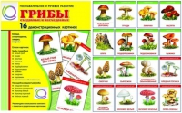 Демонстрационные карточки  "Грибы съедобные и не съедобные" - «globural.ru» - Жигулёвск