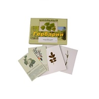 Гербарий "Деревья и кустарники" (22 вида, с иллюстрациями) - «globural.ru» - Жигулёвск