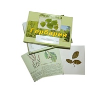 Гербарий "Дикорастущие растения" (30 видов, с иллюстрациями) - «globural.ru» - Жигулёвск