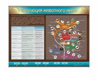 Интерактивный электрифицированный стенд "Эволюция животного мира" - «globural.ru» - Жигулёвск