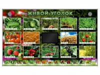 Комплект оборудования "Живой уголок" (растения) - «globural.ru» - Жигулёвск