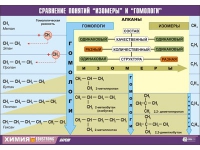 Таблица демонстрационная "Сравнение понятий изомер и гомолог" (винил 100х140) - «globural.ru» - Жигулёвск