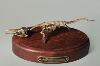 Модель скелета ихтиозавра Ichthyosaurus - «globural.ru» - Жигулёвск