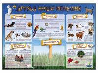 Стенд-уголок "Друзья наши меньшие" - «globural.ru» - Жигулёвск