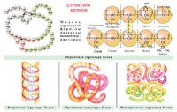Плакаты и таблицы по общей химии - «globural.ru» - Жигулёвск