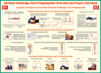  Таблица Общий порядок оказания первой помощи пострадавшим 1000*1400 винил	 - «globural.ru» - Жигулёвск