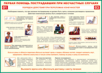 Таблица Порядок действий при переломах конечностей 1000*1400 винил - «globural.ru» - Жигулёвск