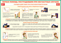 Таблица Порядок действий при опасном кровотечении 1000*1400 винил - «globural.ru» - Жигулёвск