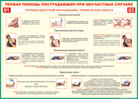 Таблица Порядок действий при ранениях и термических ожогах	 1000*1400 винил - «globural.ru» - Жигулёвск