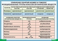 Химия. Сравнение понятий изомер и гомолог. Функциональные группы классов органических веществ (винил) - «globural.ru» - Жигулёвск