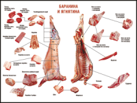Правила разделки мясных туш "Баранина и ягнятина" 1000*1400 винил - «globural.ru» - Жигулёвск