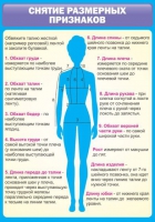 Стенд "Снятие мерок" (вариант 2) - «globural.ru» - Жигулёвск