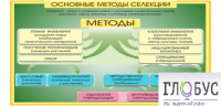 Стенд "Методы селекции и биотехнологии" - «globural.ru» - Жигулёвск