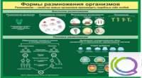 Стенд "Формы размножения организмов" - «globural.ru» - Жигулёвск