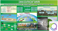 Стенд "Экология. Антропогенное воздействие на биосферу" - «globural.ru» - Жигулёвск