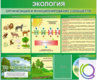 Стенд "Экология. Организация и функционирование сообществ" - «globural.ru» - Жигулёвск